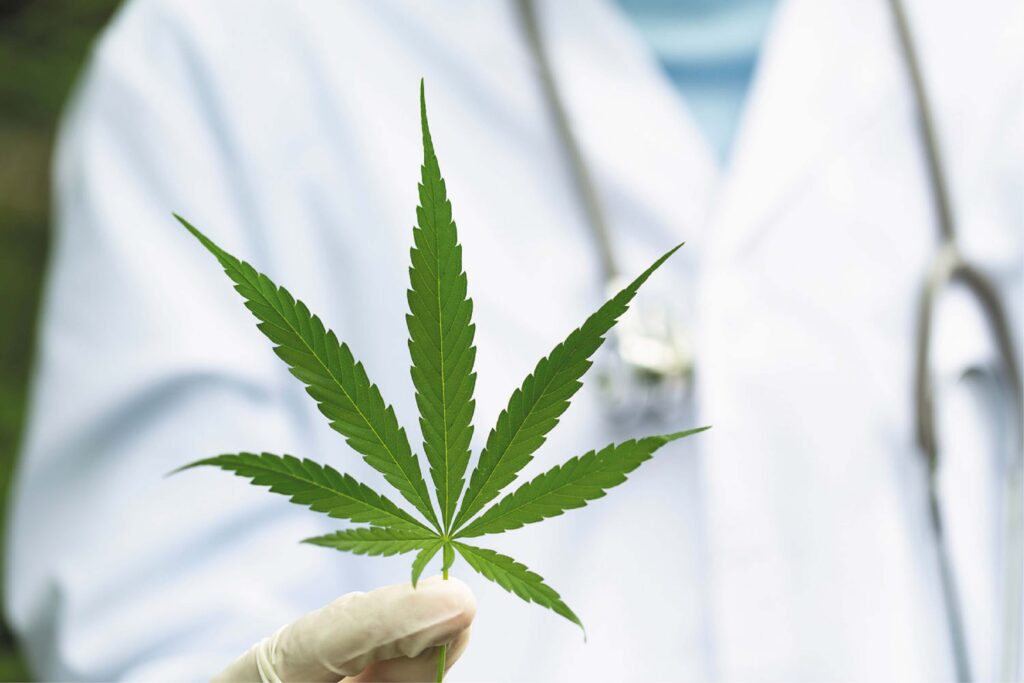 a person in a lab coat holding a cannabis leaf in one hand